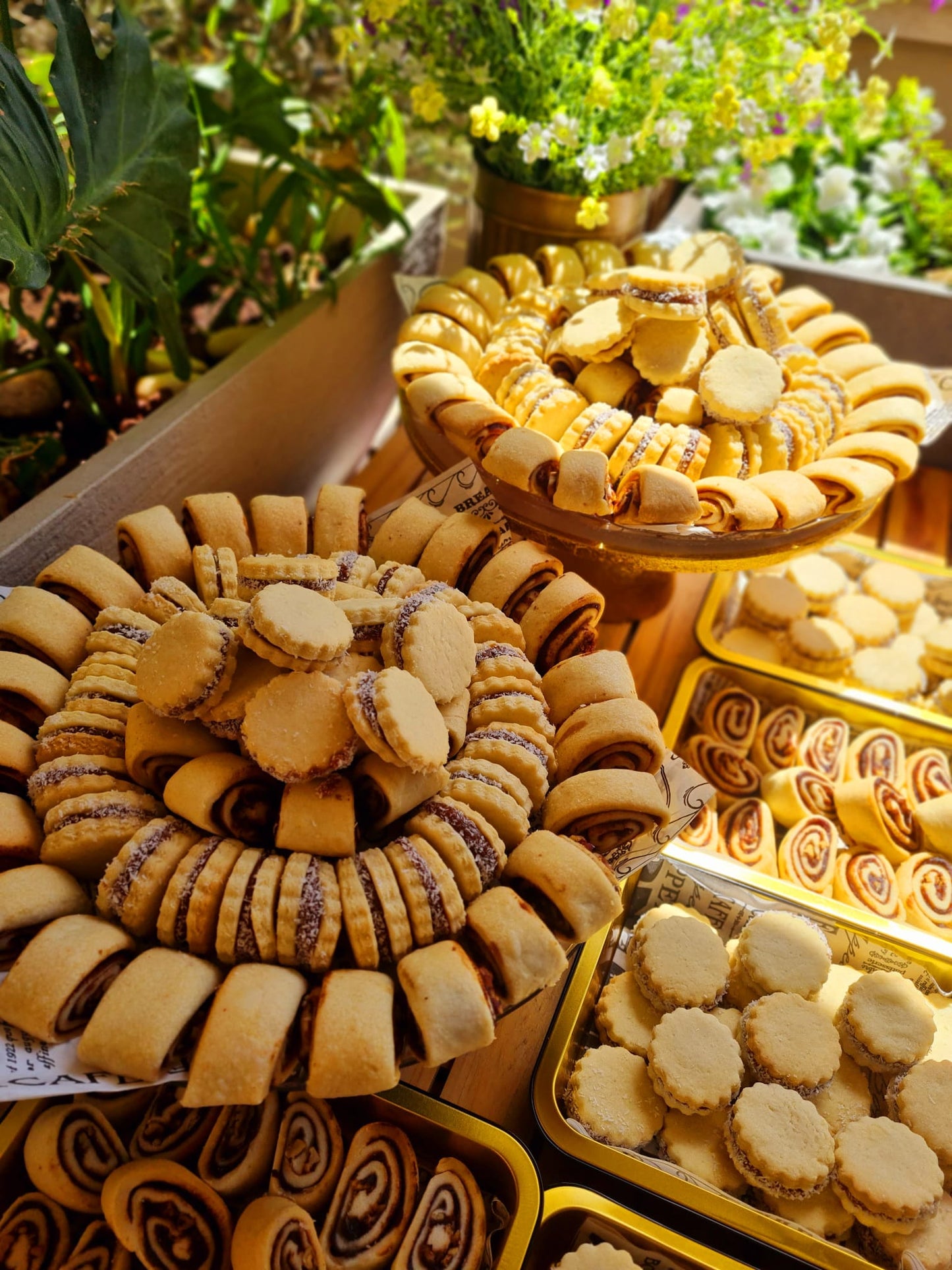 ورشة النواشف